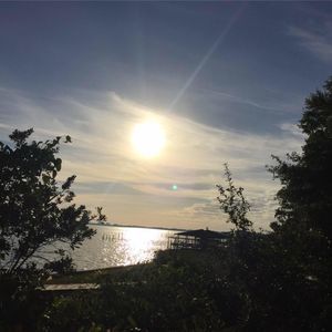 Meet your Posher, Debra donato